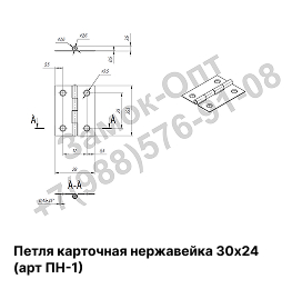 Петля карточная нержавеющая сталь 30х24